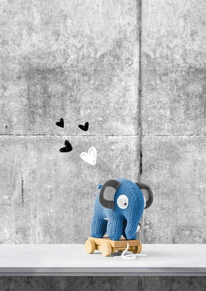 Geboorte olifant en poster in interieur 2