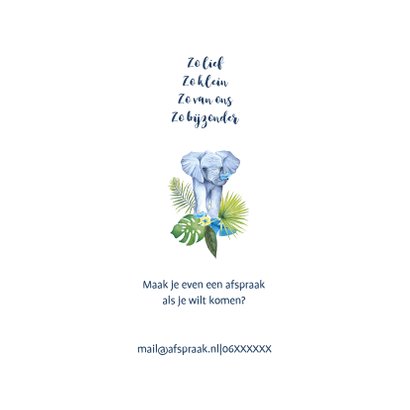 Geboorte olifant jongen 2