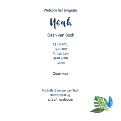 Geboorte olifant jongen 3