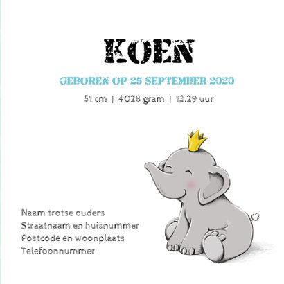 Geboorte olifant kroontje - IH 3