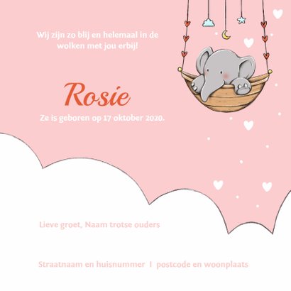 Geboorte olifantje wolk Rosie IH 3