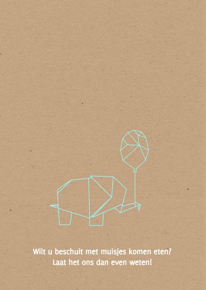 Geboorte - Origami olifant zoon 2