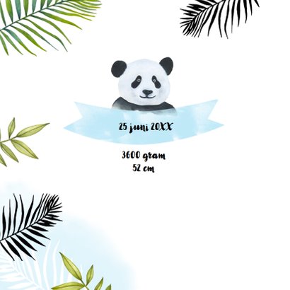 Geboorte pandabeertje aquarel 2