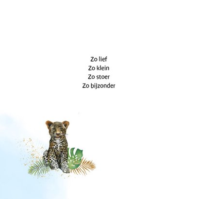 Geboorte panterwelpje jongen 2