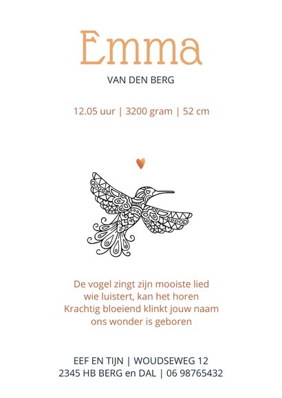 Geboorte paradijsvogel mandela 3