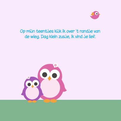 Geboorte - Pinguin zusjes 2