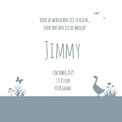 Geboorte silhouet jimmy - B 3