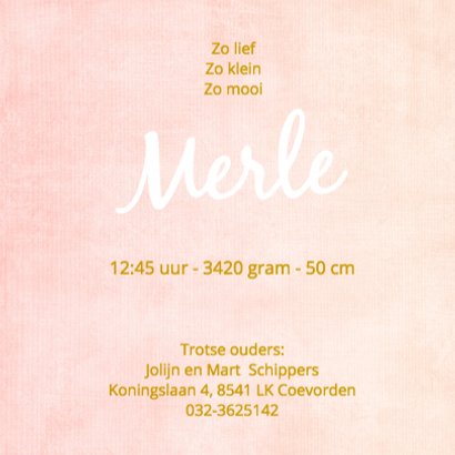 Geboorte silhouette merle - B 3