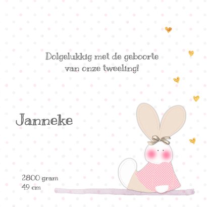 Geboorte tweeling j/m konijn 3