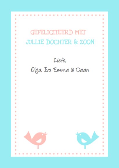 Geboorte tweeling Jongen Meisje 3
