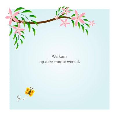 Geboorte tweeling jongens en aap 2