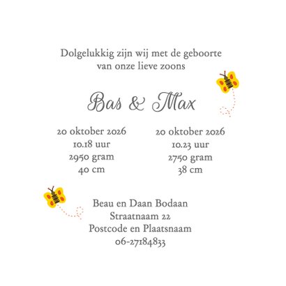 Geboorte tweeling jongens en aap 3