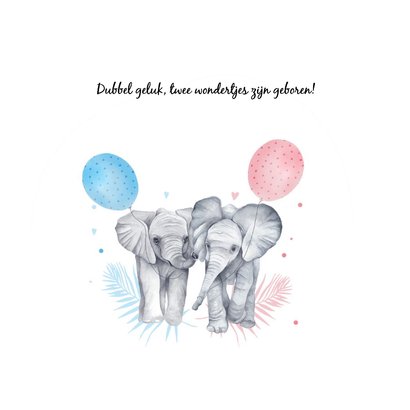 Geboorte tweeling meisje jongen olifantjes 2