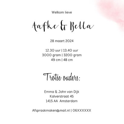 Geboorte tweeling meisjes olifantjes 3