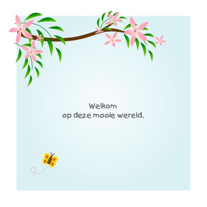 Geboorte tweeling met aapje 2