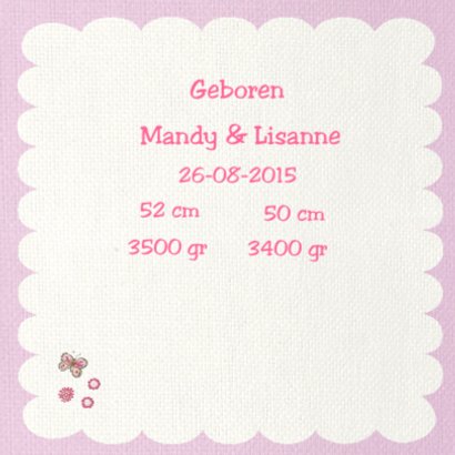 geboorte tweeling uiltjes 2