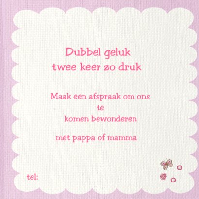 geboorte tweeling uiltjes 3