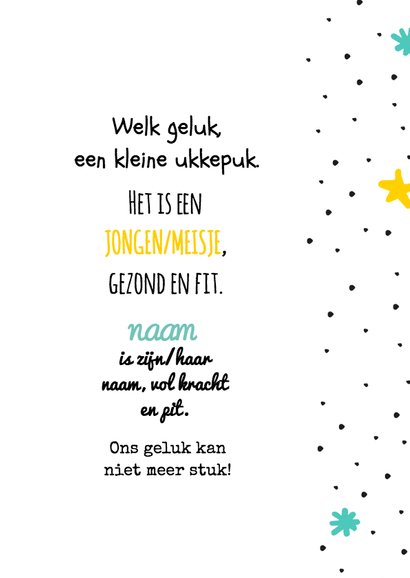 Geboorte Twinkle star 3