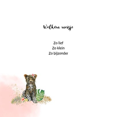 Geboorte welpje panter 2