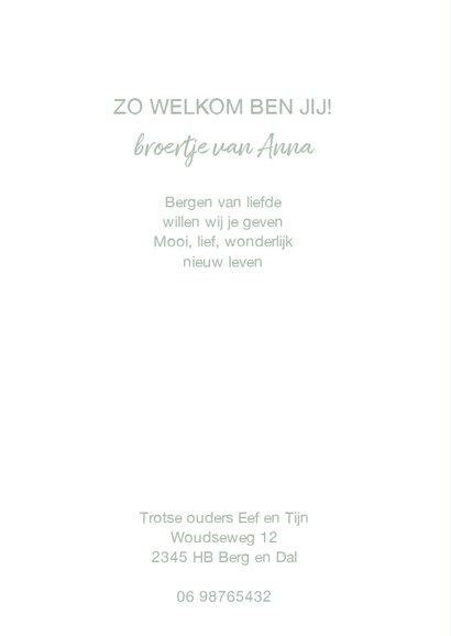 Geboorte winterse berg 2