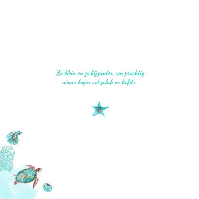 Geboorte zeedieren jongen 2