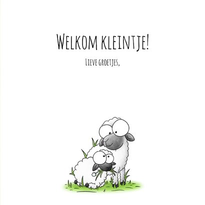 Geboortefelicitatie lammetje - Welkom in de kudde! 3