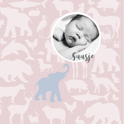 Geboortekaart Animal tikje retro pink hippe kaart 2