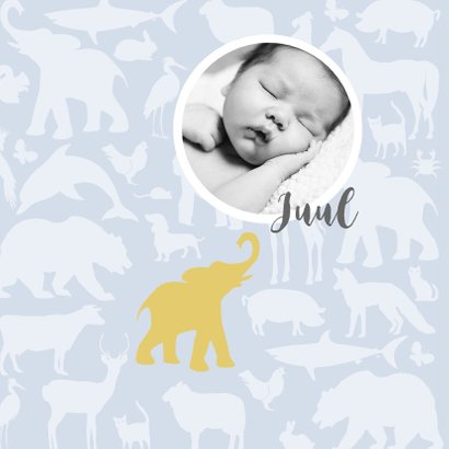 Geboortekaart Animal tikje retro stoere kleuren 2