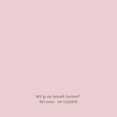 Geboortekaart bakfiets baby meisje met grote zus en broer 2