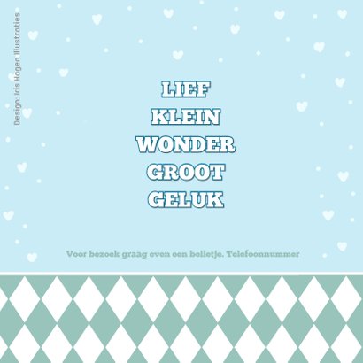 Geboortekaart beertje Thijs IH 2