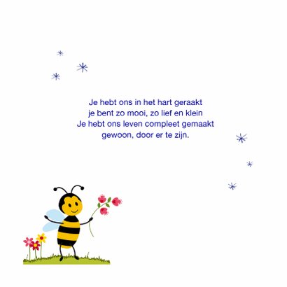Geboortekaart bijtje op schommel 2