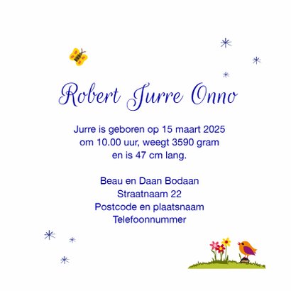 Geboortekaart bijtje op schommel 3