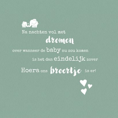 Geboortekaart broertje mint olifant 2