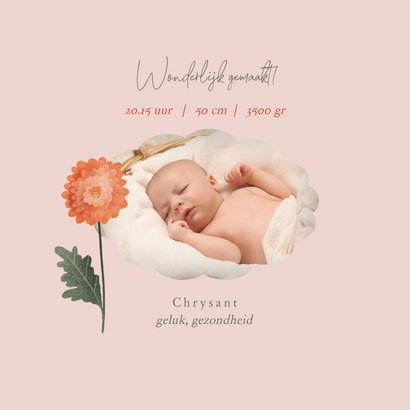 Geboortekaart geboortebloem chrysant november 2