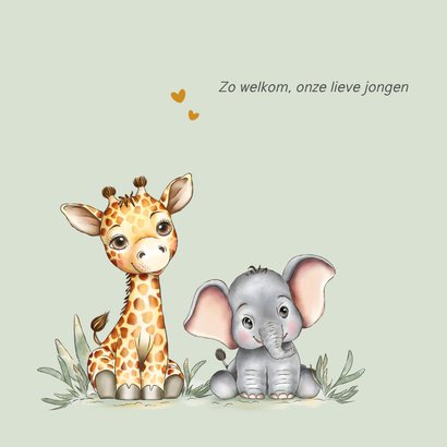 Geboortekaart giraf leeuw olifant groene achtergrond 2