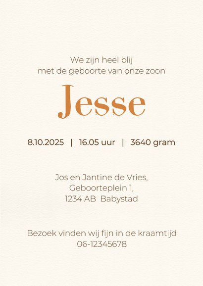 Geboortekaart giraf zittend 3