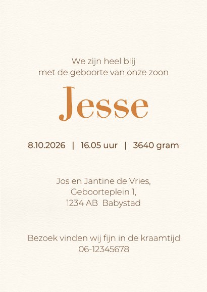 Geboortekaart giraf zittend 3