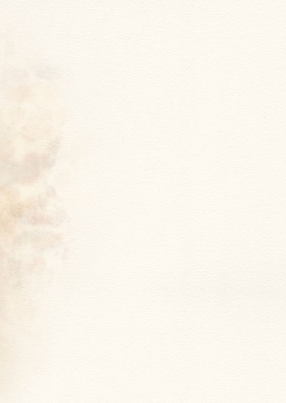 Geboortekaart giraf zittend Achterkant