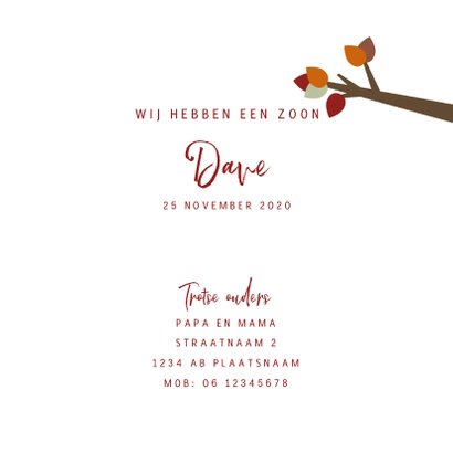 Geboortekaart herfst lief koalabeertje 3