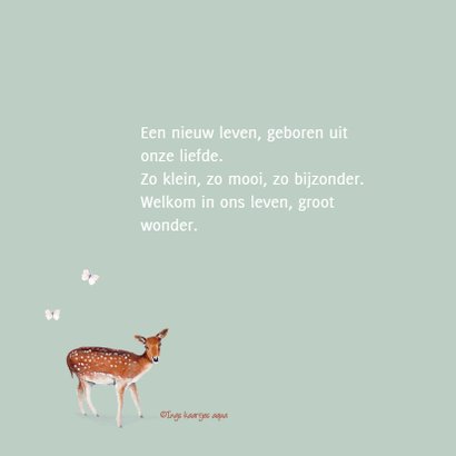 Geboortekaart Hertje 2