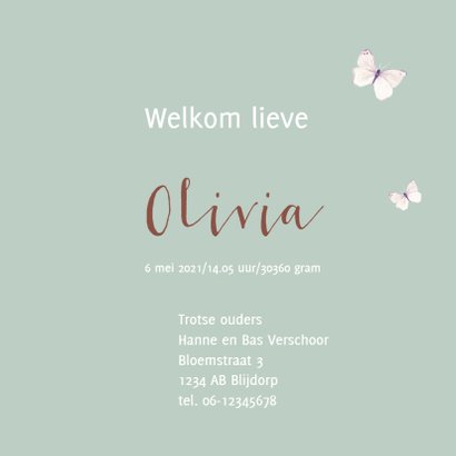 Geboortekaart Hertje 3