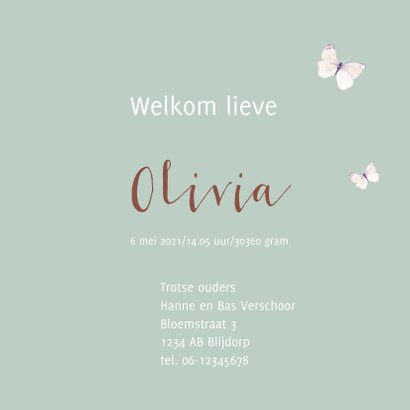 Geboortekaart Hertje 3
