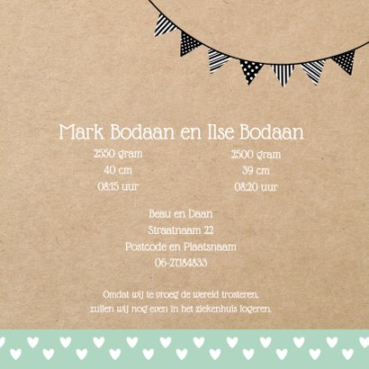 Geboortekaart hobbelpaard tweeling 3