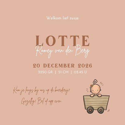 Geboortekaart Hoera een zusje Grote zus 3