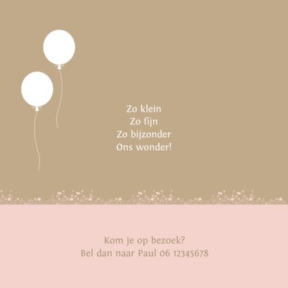 Geboortekaart houten bakfiets met zusjes ballon 2