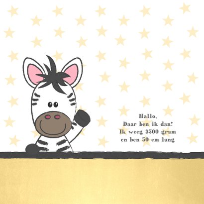 Geboortekaart illustratie van een schattige baby zebra 2