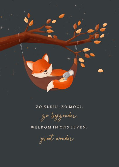 Geboortekaart jongen bosdieren vosje in hangmat in boom 2