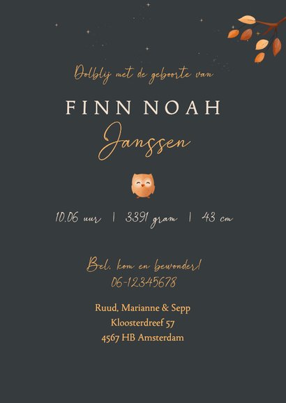 Geboortekaart jongen bosdieren vosje in hangmat in boom 3