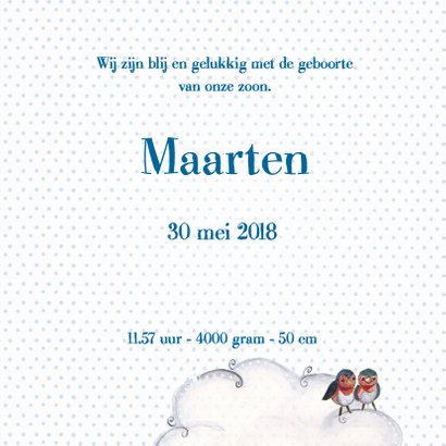 Geboortekaart Jongen & Ooievaar Cartita 3