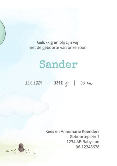 Geboortekaart jongen, kitten en ballonnen 3